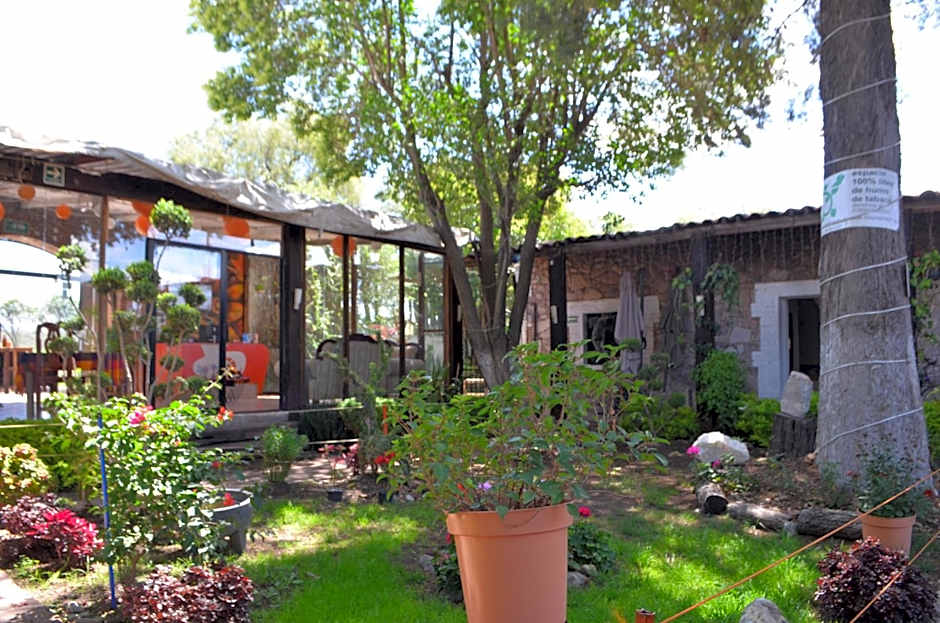 Vicalis Hotel, Villas y Glamping