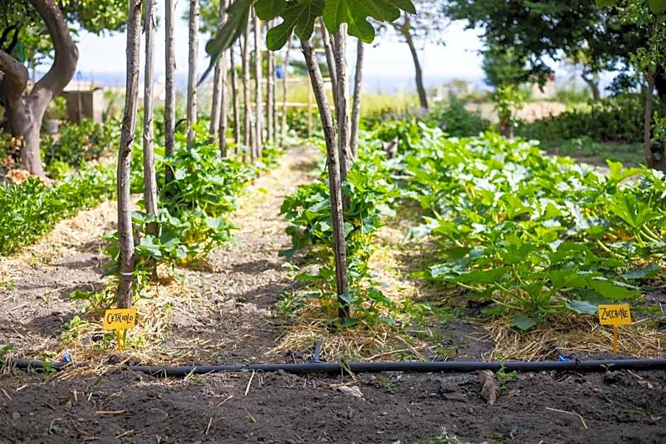 HibiscusUno Tropea Residence