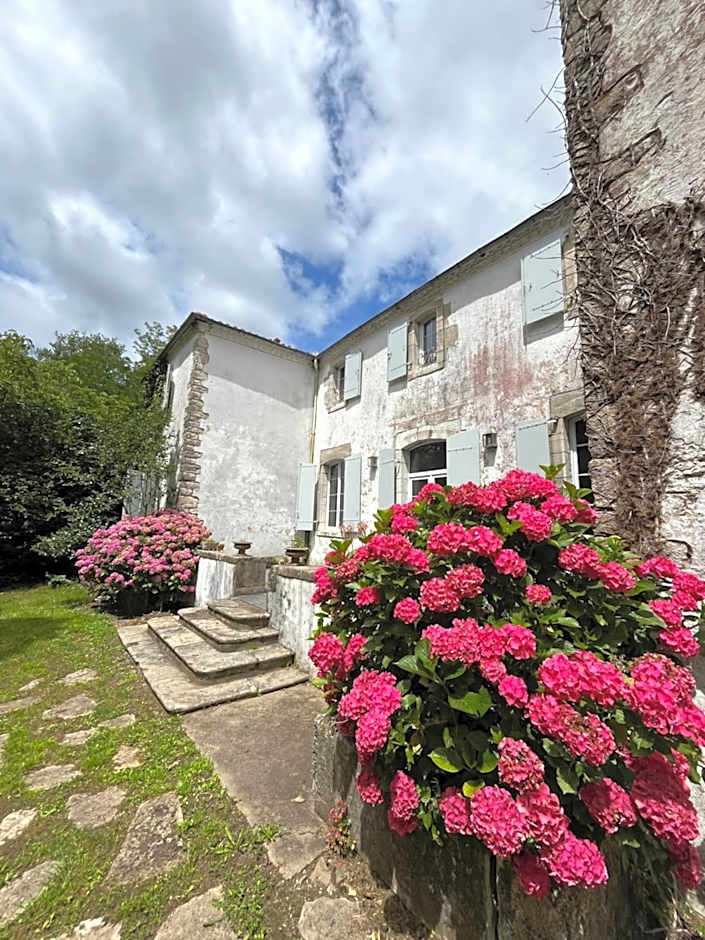 LA CAVERIE DE PEYROUX A ORTHEVIELLE (40300)