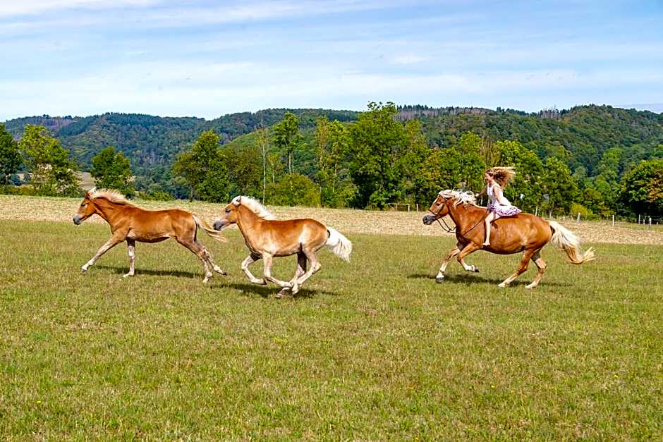 Hotel Freund - Privathotels Dr Lohbeck