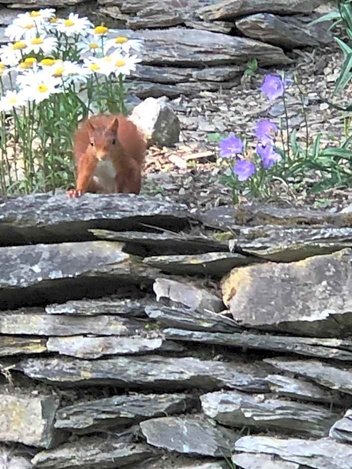 B&B Le Nid d'Hirondelle