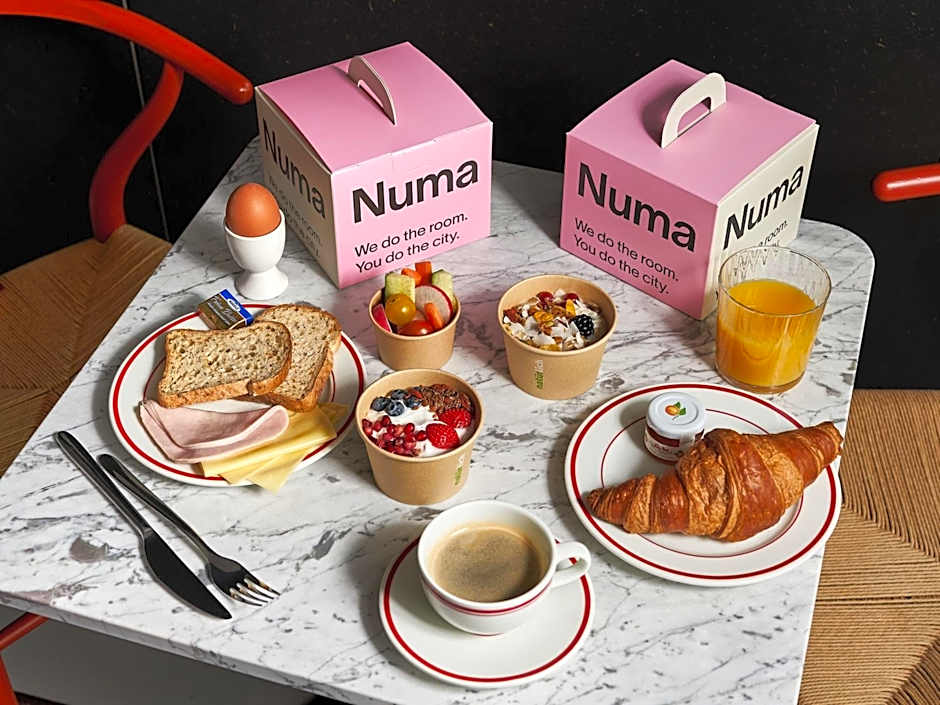 Numa Berlin Boxer