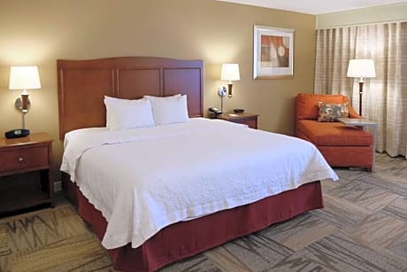 1 King Bed Larger Room Nonsmoking