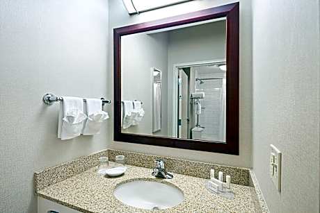 Studio Suite, 1 Bedroom (Hearing Accessible) (1 King Bed)