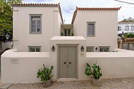 Cactus Hydra - Art Apartments