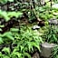 Guest house Umeya