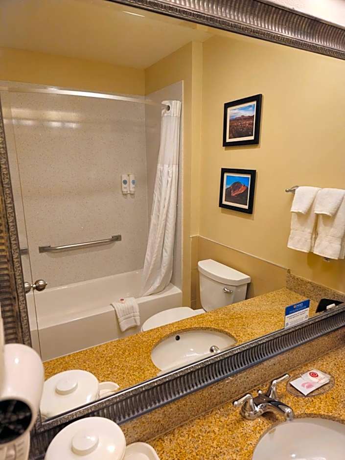 Comfort Inn & Suites Durango