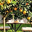 Casale Caterina Agriresort