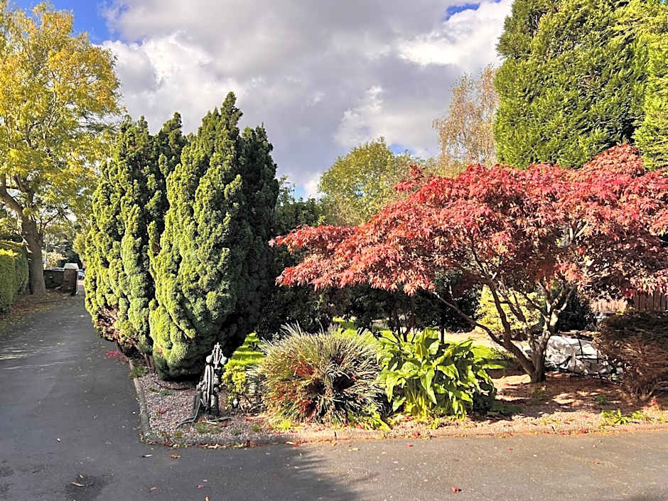 Ashfield Bed & Breakfast