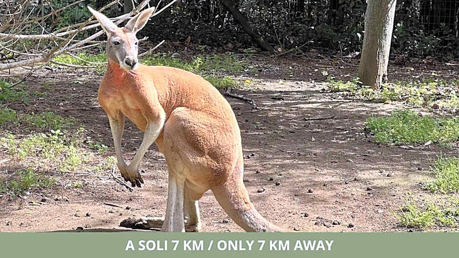 CSA Hotel Beach & Park