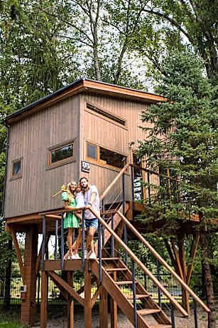 Apartamenty wśród drzew River Park