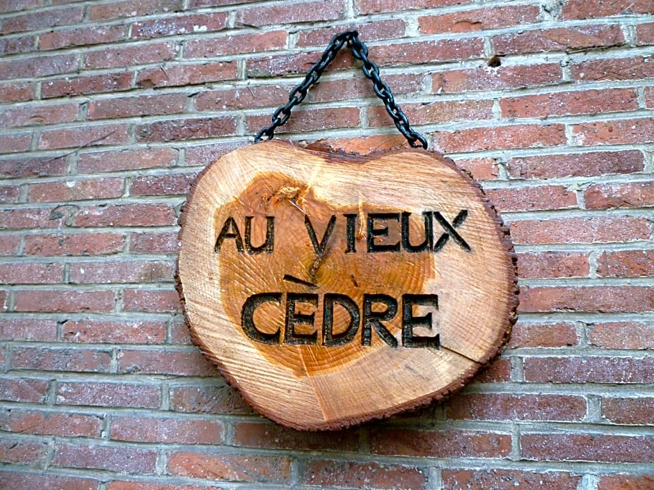 au vieux cèdre