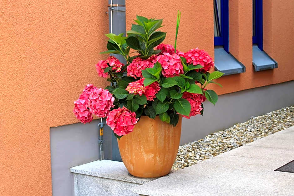 Ambassador Apparthotel