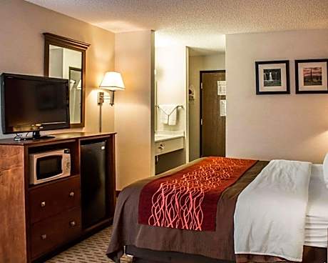 1 Double Bed, Nonsmoking, Accessible