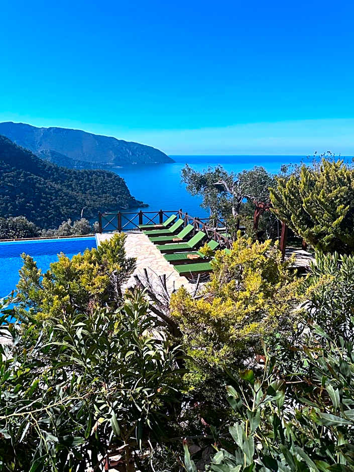 Olive Garden Kabak