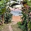 Gracelands Beach Lodge