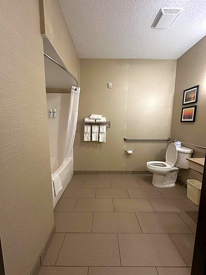 Comfort Suites South Haven Near I-96