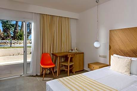 Double or Twin Room with Pool View