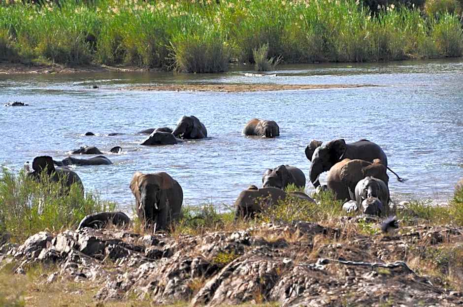 La Kruger Lifestyle Lodge - Unfenced - Unforgettable