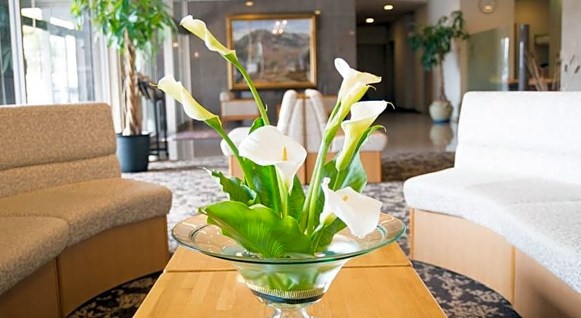 Moriyama Art Hotel