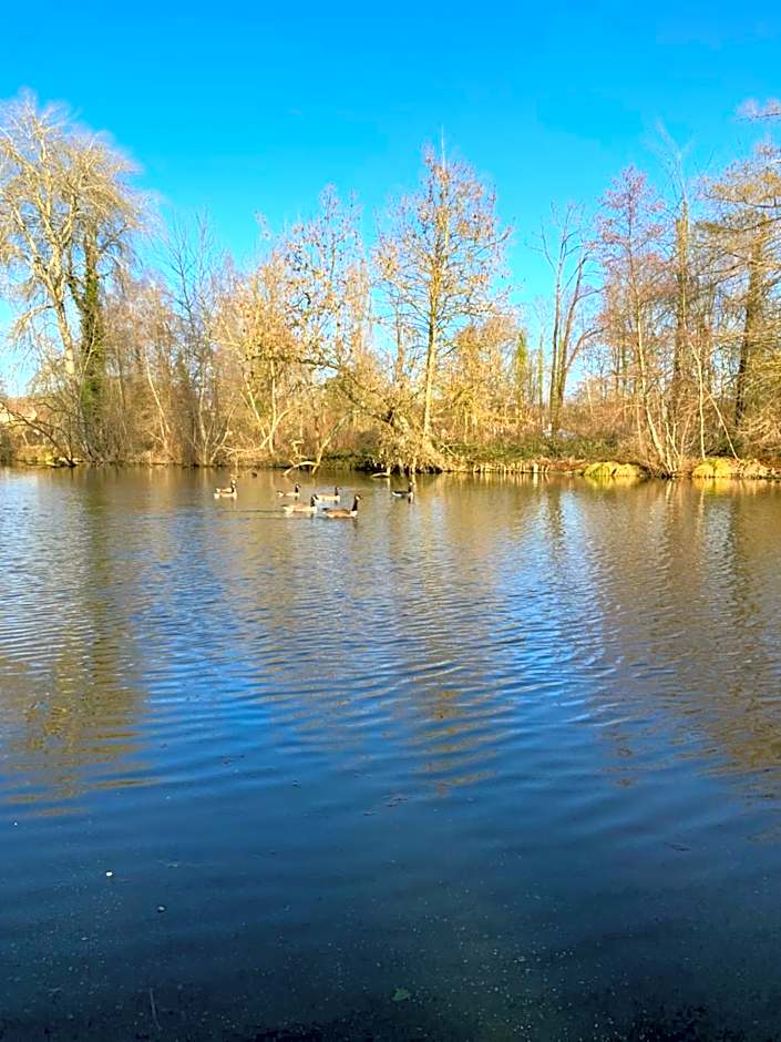 Hôtel L'ile Du Saussay