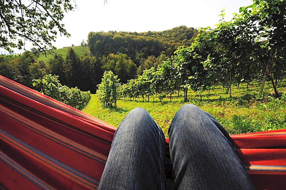 Weingut Winzerzimmer Rothschädl