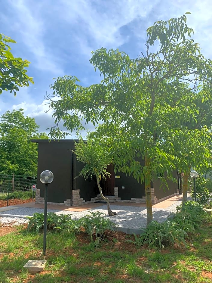 B&B BUICOVILLE CAMEROTA