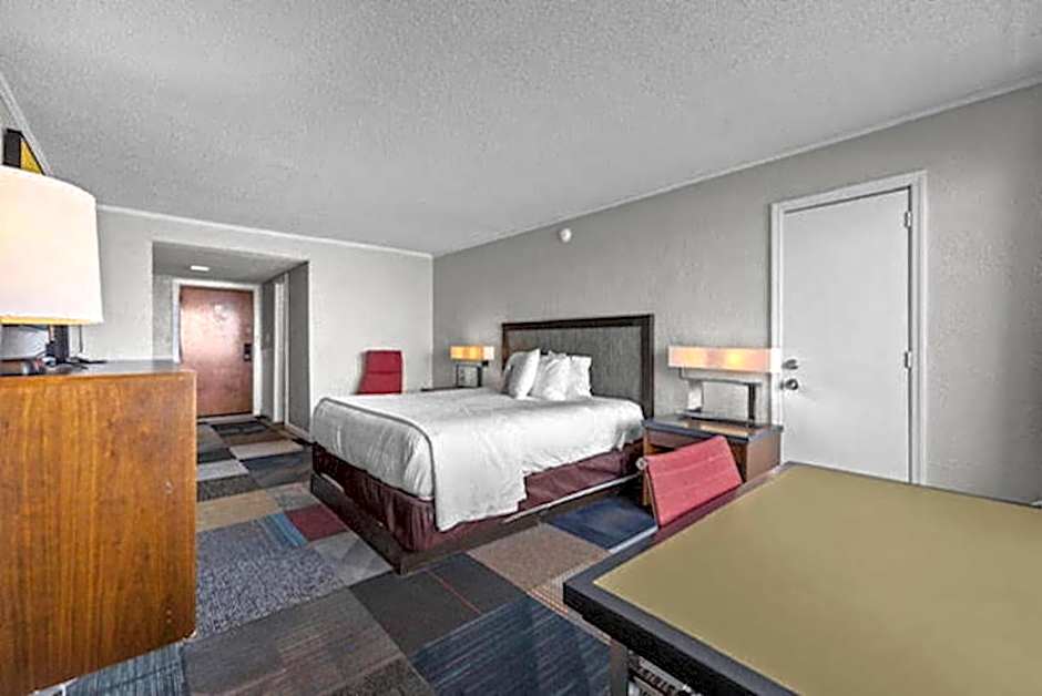 Oasis Hotel