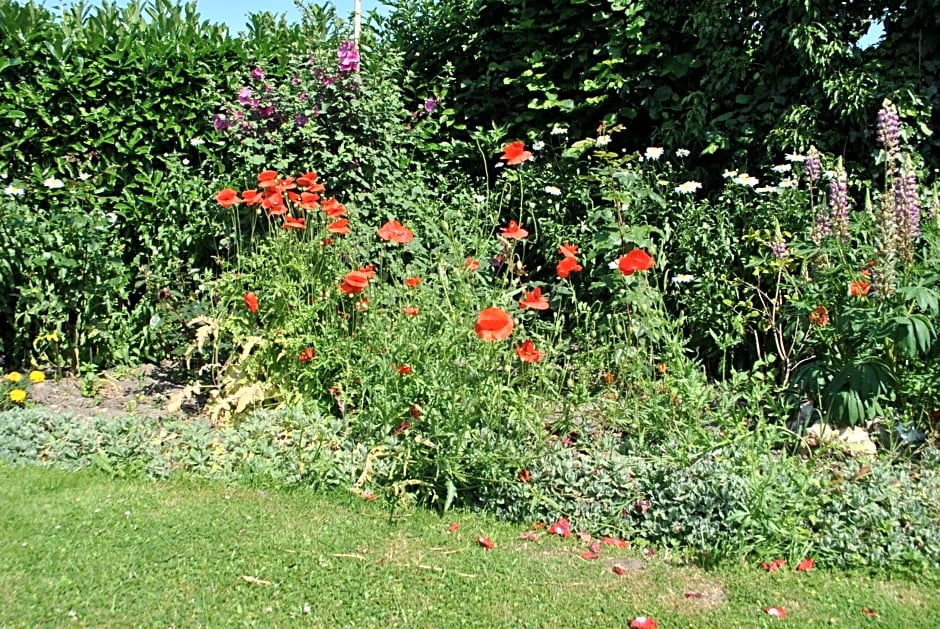 Chambres d'hôtes La Tribu