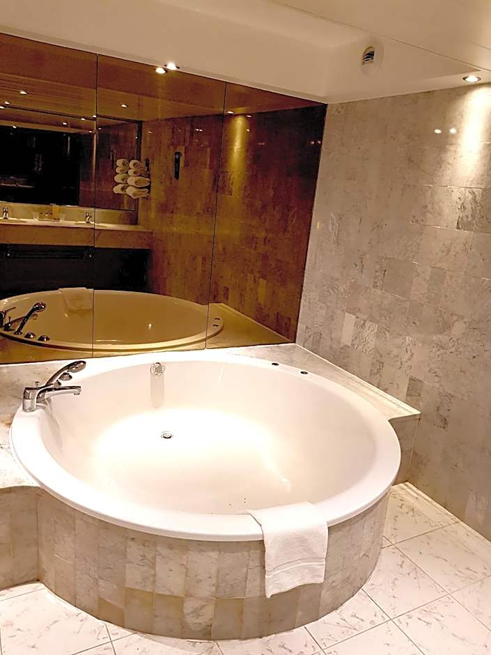 Kyriad Prestige Mulhouse - Basel