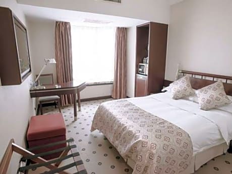 Deluxe Double or Twin Room with City View