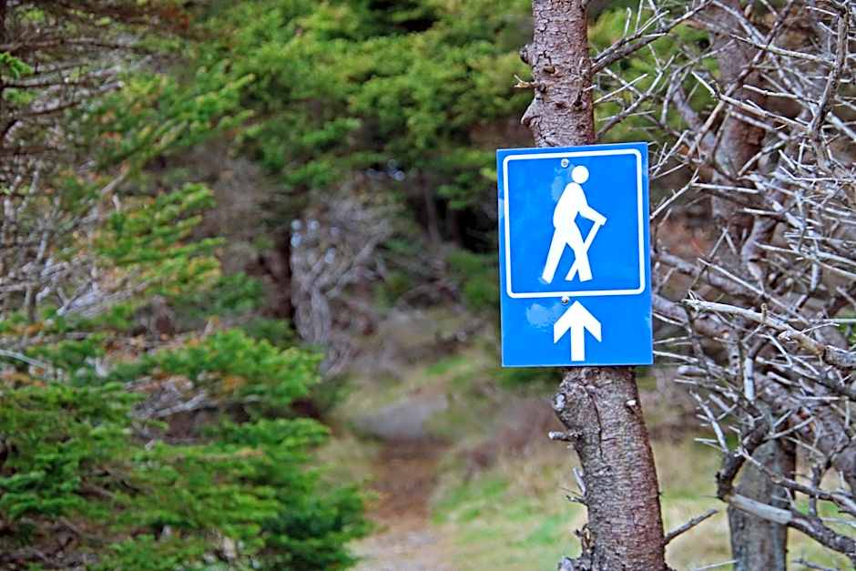 The Killick Inn & Suites