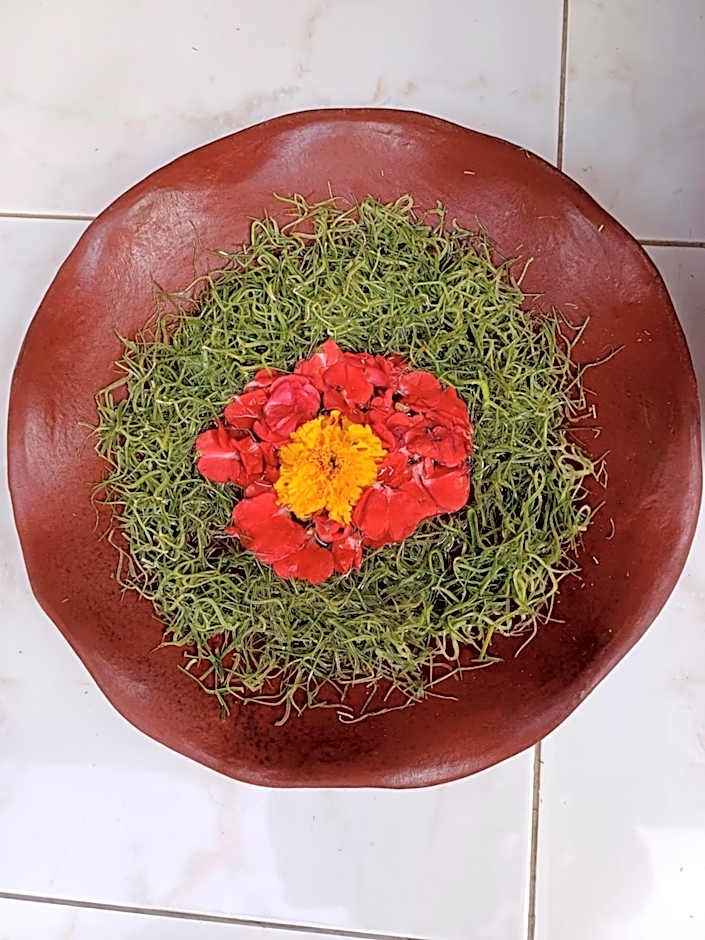 Balinda Rooms & Villa