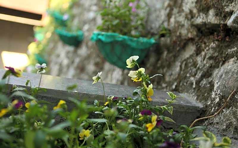 Hotel Devlok Primal Mussoorie