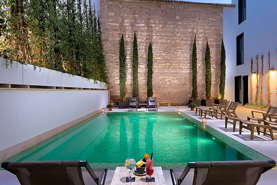 H10 Palacio Colomera