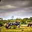 Motswari African Retreat & Walking Safaris by NEWMARK