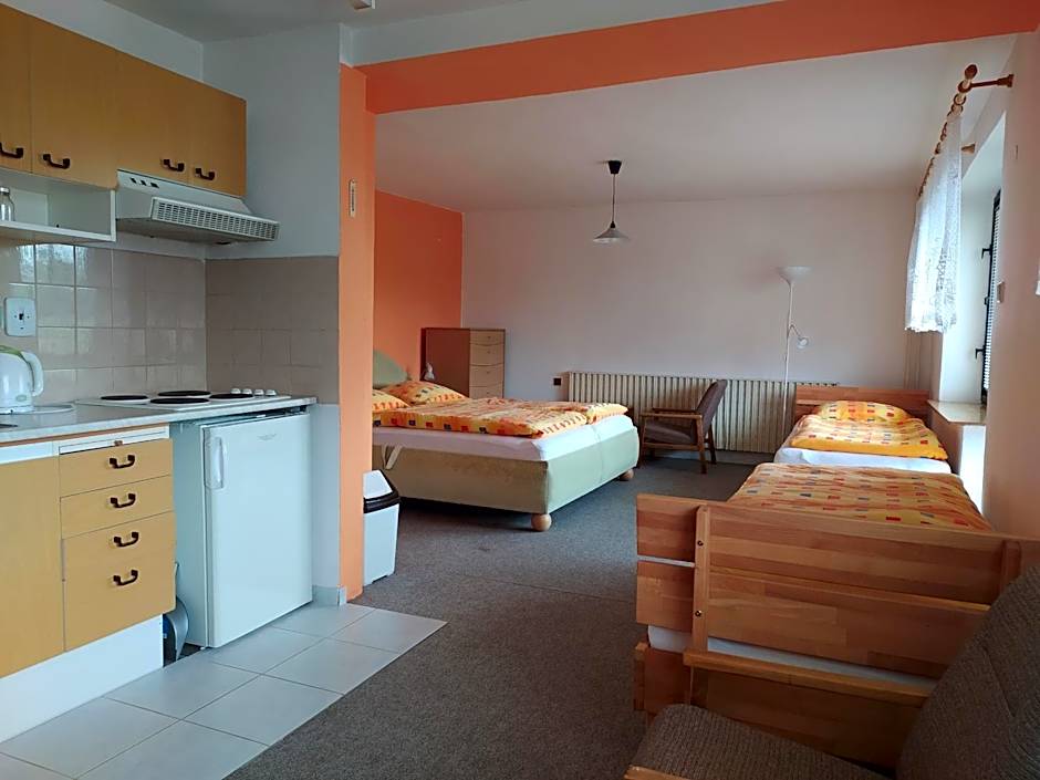 Apartmány NIVA