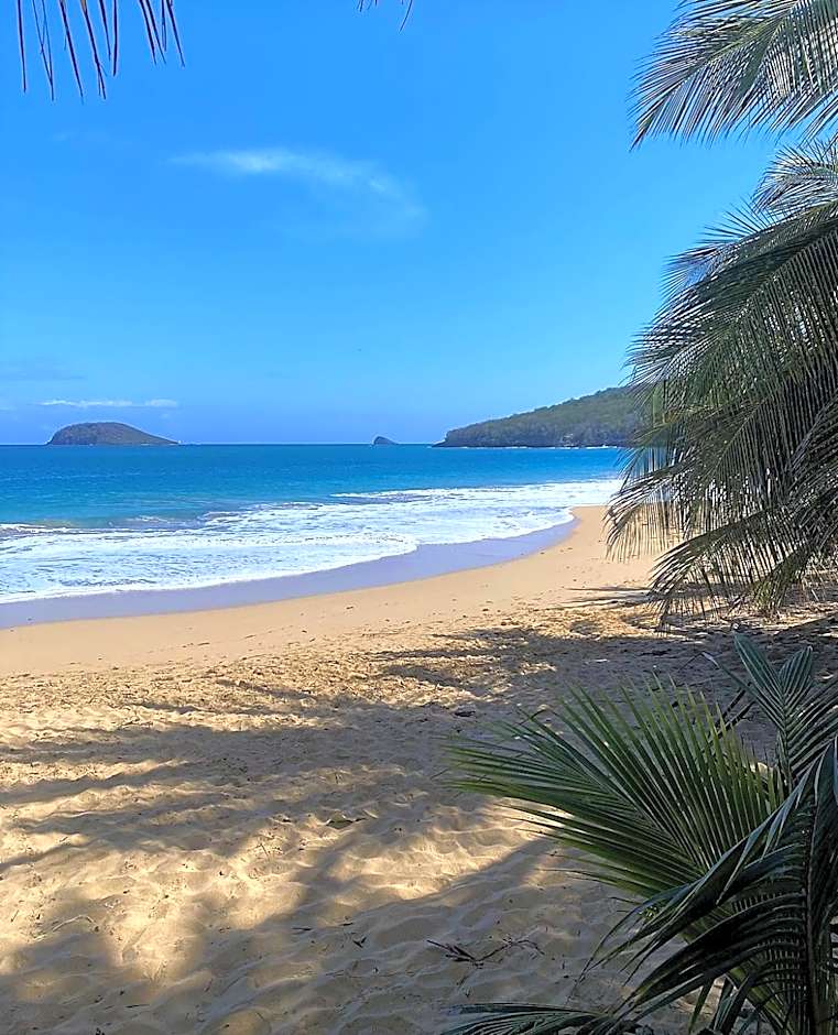 Auberge K-WAN Hostel - Proche Plages