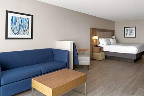 One-Bedroom King Suite with Sofa Bed