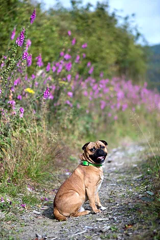 Landhotel Flora & Fauna