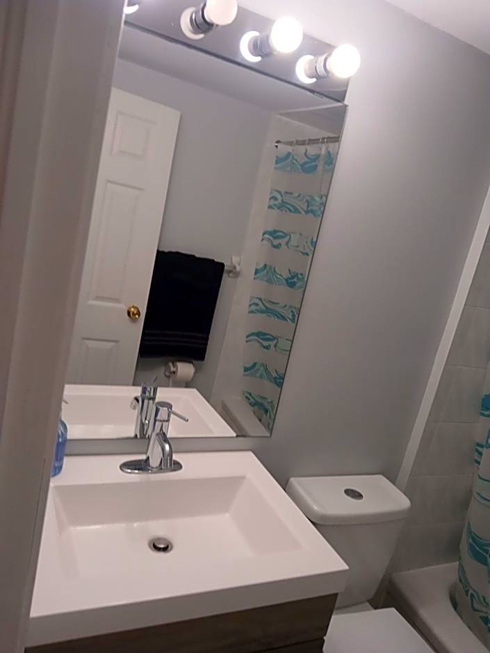 Furnished calm basement studio apartment