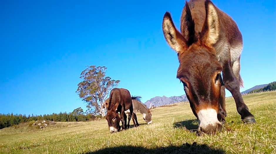 AAA Granary Accommodation