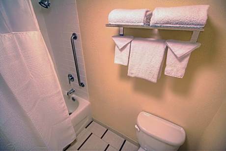 Room, 1 King Bed (Mobility/Hearing Accessible, Tub) (1 King Bed)