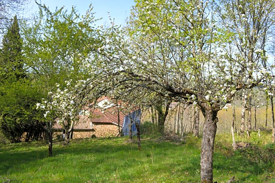 DUC MANOIR Chambres d'hôtes