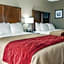 Comfort Inn & Suites Mount Sterling