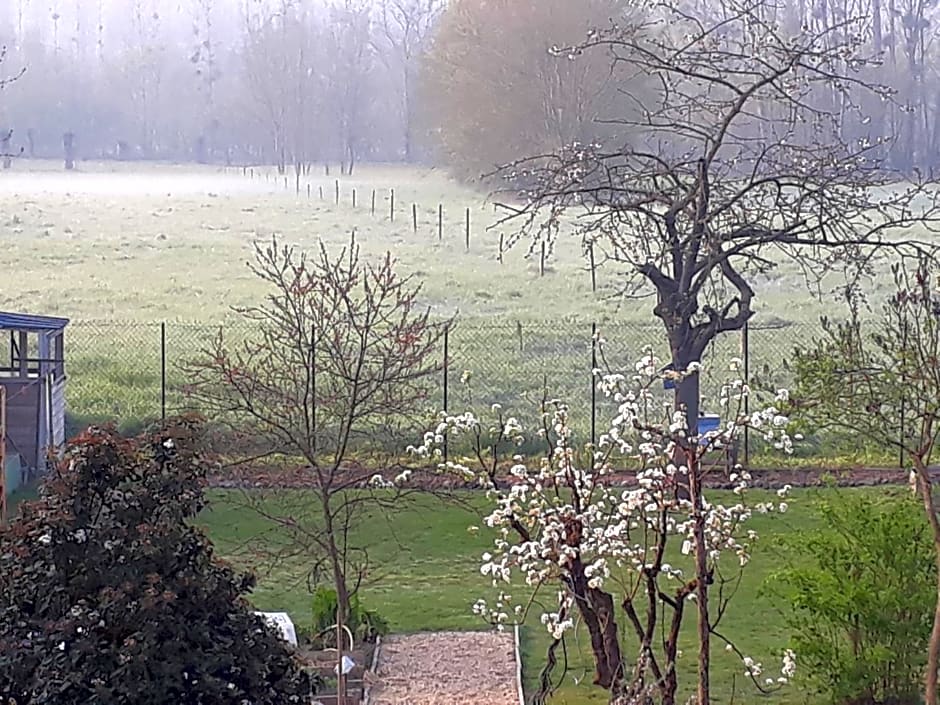 Zdjęcie 1 z 43 — BEDLOIRE