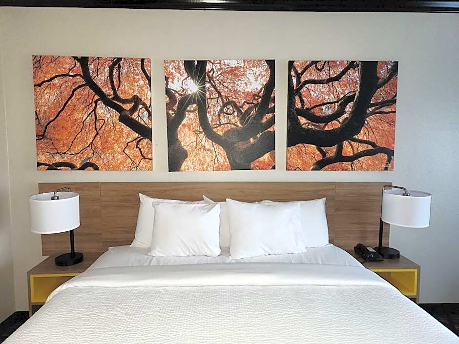 Days Inn by Wyndham Baton Rouge I-10