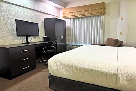 1 King Bed, One-Bedroom Mobility Accessible Suite, Bathtub w/ Grab Bars, NSMK
