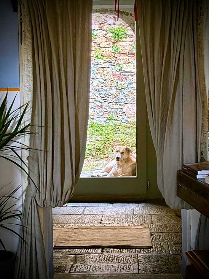 Viandanti, Artisti e Sognatori