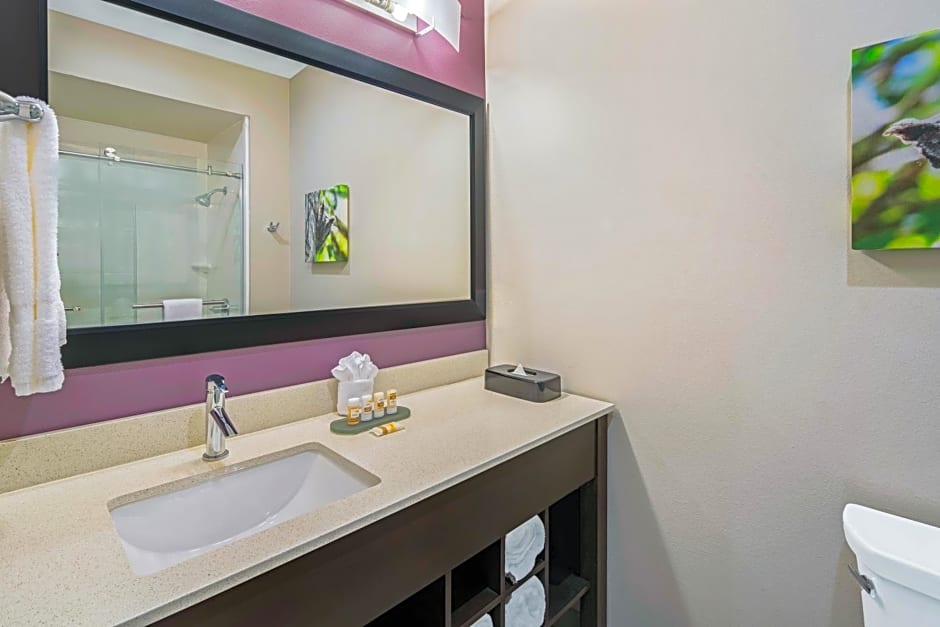 La Quinta Inn & Suites by Wyndham McAllen La Plaza Mall